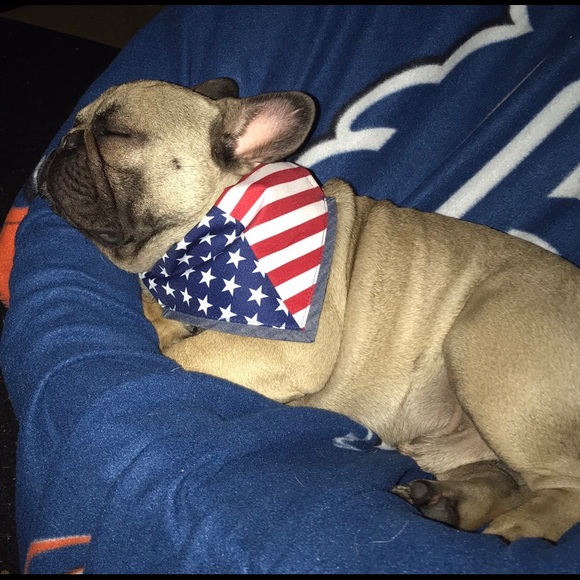 Meet your Posher, Kristy - Picture 1 of 1